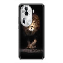 Чехол со Львом для Oppo Reno 11 Pro 5G (VPrint)