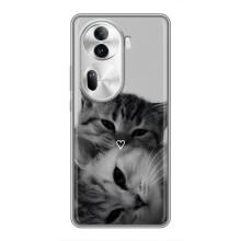 Чехол с рисунком кот на Oppo Reno 11 Pro 5G – Пара котов