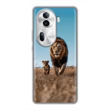 Чехол Король лев на Оппо Рено 11 Про 5G – Мусафа и Симба