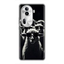 Чехол с принтом стильные животные для Оппо Рено 11 Про 5G – Овечка в очках