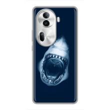 Силіконовий бампер з картинкою звірів для Oppo Reno 11 Pro 5G (Пащу Акули)
