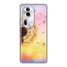 Силіконовий Чохол з кульбабками на Oppo Reno 11 Pro 5G – Квітка-кульбаба