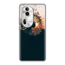 Силіконовий Чохол з кульбабками на Oppo Reno 11 Pro 5G – Гарна кульбабка