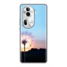 Силіконовий Чохол з кульбабками на Oppo Reno 11 Pro 5G – Захід з кульбабкою