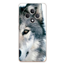 Чохли з картинкою животних OPPO Reno 12 F (Вовк)