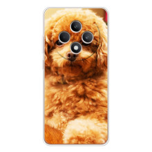 Чехлы с собаками для OPPO Reno 12 F (VPrint) (Щенок Бишон)