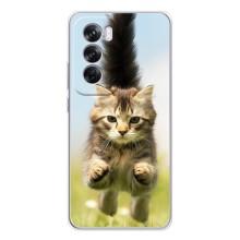 Чехлы с Котиками для OPPO Reno 12 Pro (VPrint) (Прыжок кота)