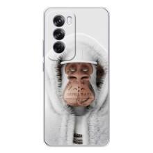 Чохли з Мавпами NFT для OPPO Reno 12 Pro (AlphaPrint) (мавпа NFT в тату)