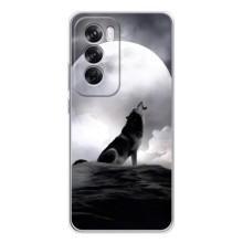 Чехол с Волком на OPPO Reno 12 Pro – Волк и луна