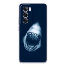 Силиконовый бампер с картинкой животных для OPPO Reno 12 Pro (Пасть Акулы)