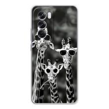 Силіконовий чохол з КАРТИНКАМИ літо для OPPO Reno 12 Pro (AlphaPrint) (Жирафи в окулярах)