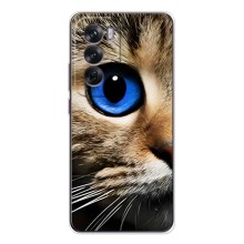 Чехлы с Котиками для OPPO Reno 12 (VPrint) (Глаз кота)