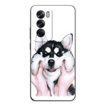 Чехлы с собаками для OPPO Reno 12 (VPrint) (Довольный Хаски)
