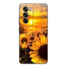 Чехол с Цветами для OPPO Reno 12 (поле подсолнухов)