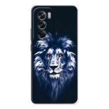 Чехол с картинкой на OPPO Reno 12 – Лев - синий