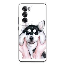 Бампер для OPPO Reno 12 з картинкою "Песики" (Собака Хаскі)