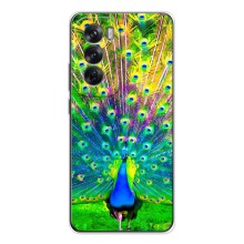 Чехол с птицами на OPPO Reno 12 (VPrint) (Яркий Павлин)