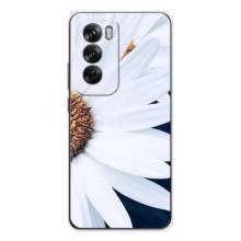 Чехол с ромашками на OPPO Reno 12 – Пол ромашки