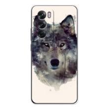 Чохол з Вовком на OPPO Reno 12 – Вовк