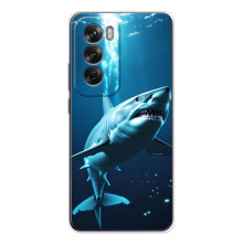 Чехол с картинкой «Хищники» для OPPO Reno 12 – Акула
