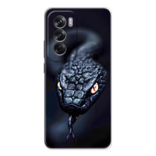 Чехол с картинкой «Хищники» для OPPO Reno 12 – Змея