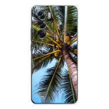 Силиконовый чехол с КАРТИНКАМИ лето для OPPO Reno 12 (AlphaPrint) (Пальма)