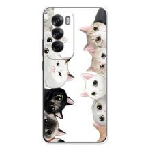 Силиконовый чехол с котиком для OPPO Reno 12 – Коты