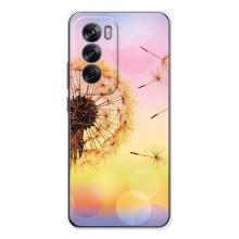 Силиконовый Чехол с одуванчиками на OPPO Reno 12 – Цветок-одуванчик