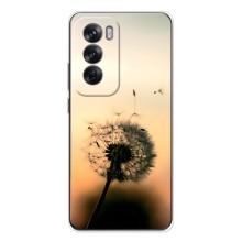 Силиконовый Чехол с одуванчиками на OPPO Reno 12 – Роздумаханый одуванчик