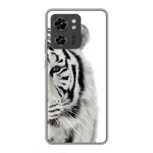 Чехлы с картинками животных OPPO Reno 13 5G