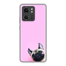 Чехлы с собаками для OPPO Reno 13 5G (VPrint) – Смешная собака