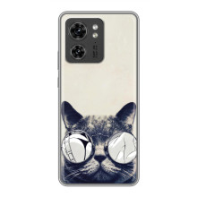 Чохол на тематику: Коти для OPPO Reno 13 5G (Модний кіт)