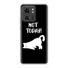 Бампер з зображенням Котиків для ОРО Reno 13 5G (Not Today)