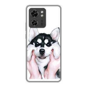 Бампер для OPPO Reno 13 5G з картинкою "Песики" (Собака Хаскі)