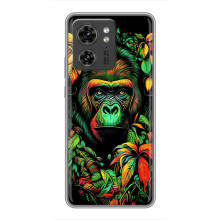 Чехол с Обезьянами OPPO Reno 13 5G - (AlphaPrint) (Обезьяна в тропиках)