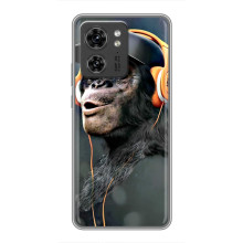 Чехол с Обезьянами OPPO Reno 13 5G - (AlphaPrint) (В наушниках)