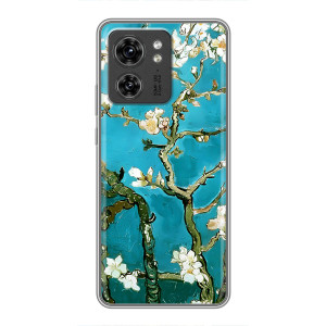 Чохол з картинкою Сакури на OPPO Reno 13 5G – Цвітіння Сакури