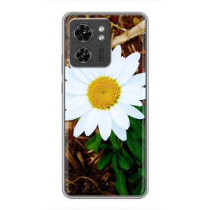 Чехол с ромашками на OPPO Reno 13 5G – Белая ромашка