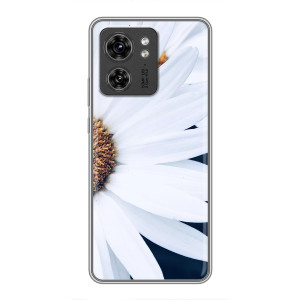 Чехол с ромашками на OPPO Reno 13 5G – Пол ромашки