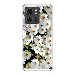 Чехол с ромашками на OPPO Reno 13 5G – Рамка в ромашках