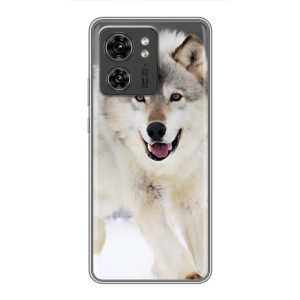 Чехол с Волком на OPPO Reno 13 5G – Волк на снегу