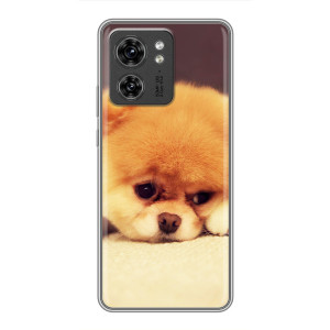 Чохол (ТПУ) Милі песики для OPPO Reno 13 5G (Померанский шпіц)
