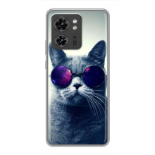 Чехол с милыми котиками на ОППО Рено 13 5G – Стильный кот