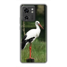 Силіконовий бампер з птичкою на OPPO Reno 13 5G – Лелека