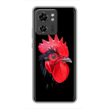 Силіконовий бампер з птичкою на OPPO Reno 13 5G – Півень