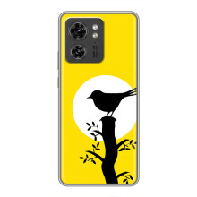 Силіконовий бампер з птичкою на OPPO Reno 13 5G – Пташка