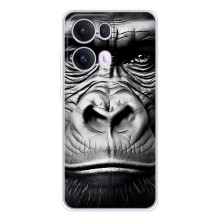 Чохли з Горилою на ОРО Reno 13 Про 5G – Чорна мавпа