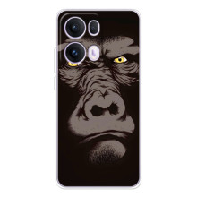 Чохли з Горилою на ОРО Reno 13 Про 5G – Горила