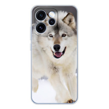 Чехол с Волком на OPPO Reno 15 Pro (Волк на снегу)