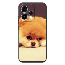 Чохол (ТПУ) Милі песики для OPPO Reno 15 – Померанский шпіц